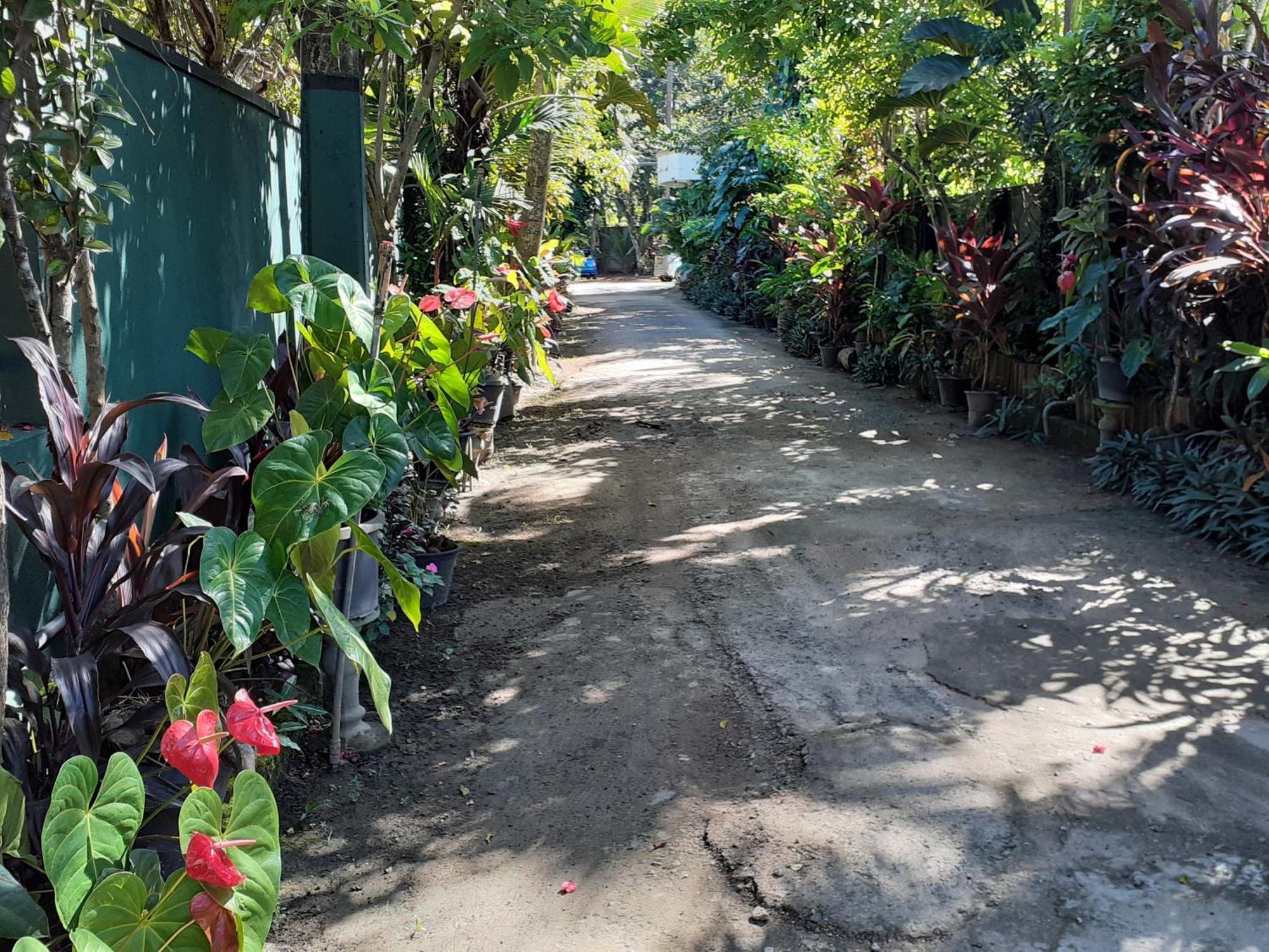 Nooit Gedacht Holiday Resort Unawatuna Kültér fotó