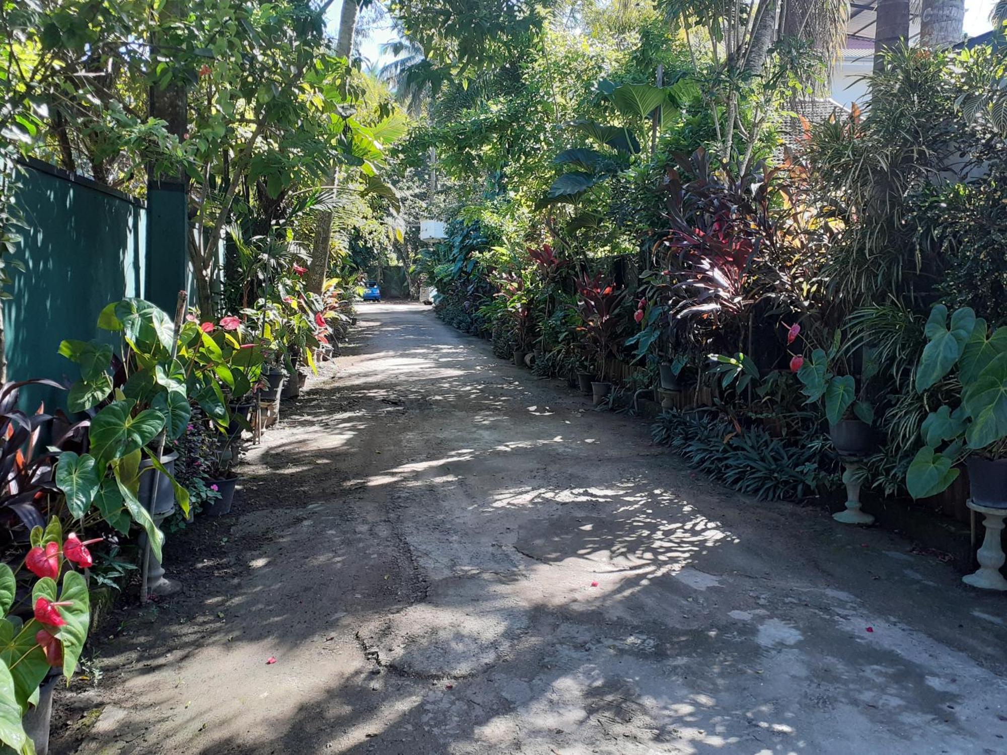 Nooit Gedacht Holiday Resort Unawatuna Kültér fotó