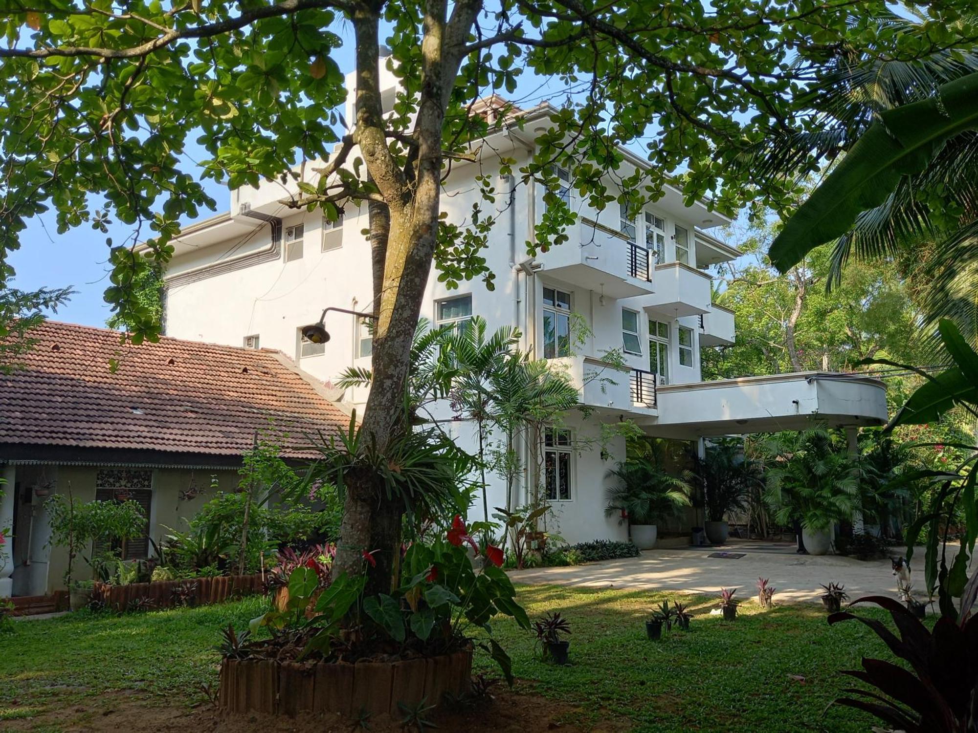 Nooit Gedacht Holiday Resort Unawatuna Kültér fotó