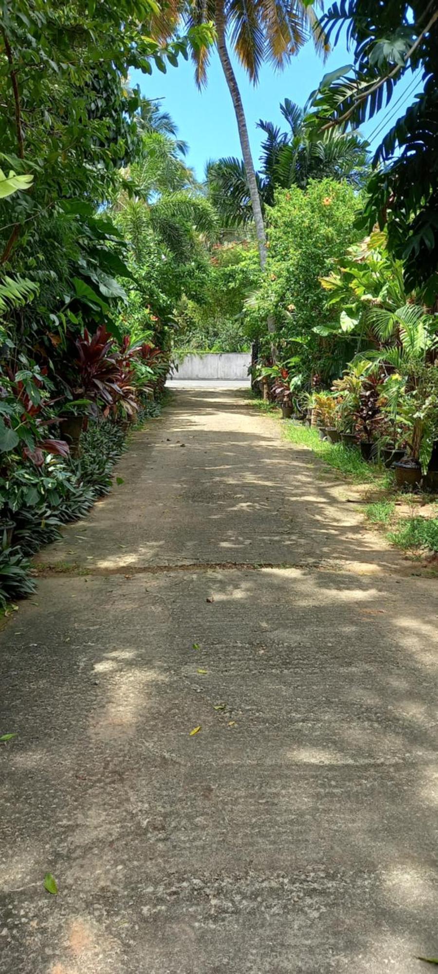 Nooit Gedacht Holiday Resort Unawatuna Kültér fotó