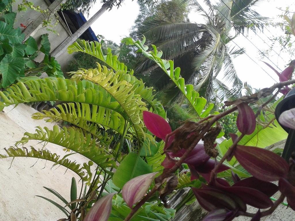 Nooit Gedacht Holiday Resort Unawatuna Kültér fotó