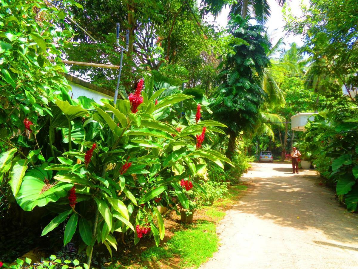 Nooit Gedacht Holiday Resort Unawatuna Kültér fotó