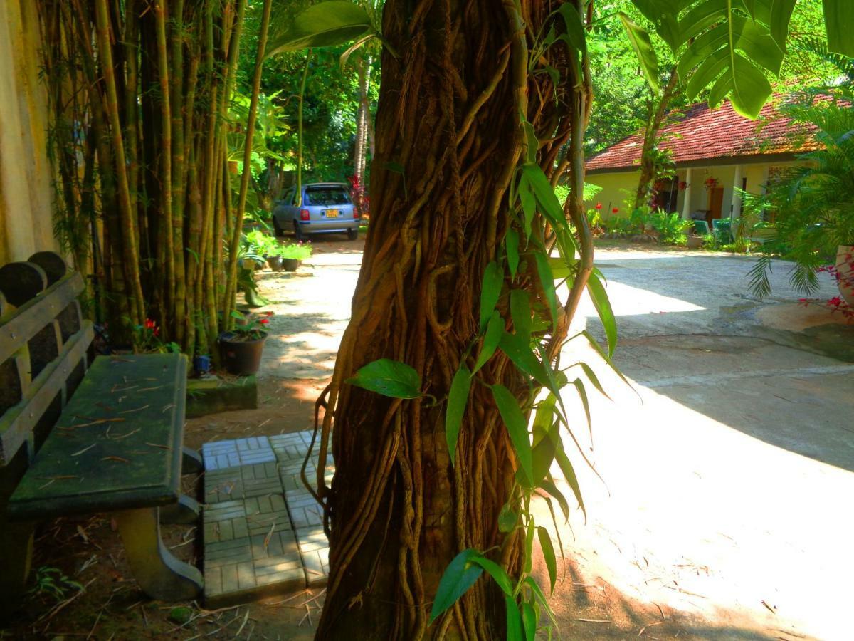 Nooit Gedacht Holiday Resort Unawatuna Kültér fotó